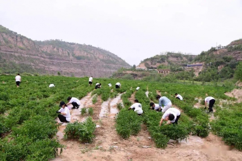 微信图片_20210906081329 微信图片_20210906081329