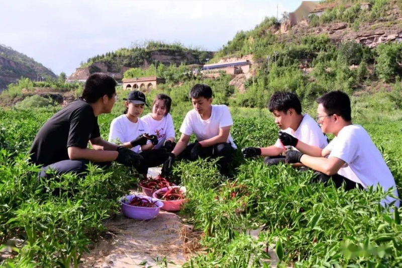 微信图片_20210906081339 微信图片_20210906081339