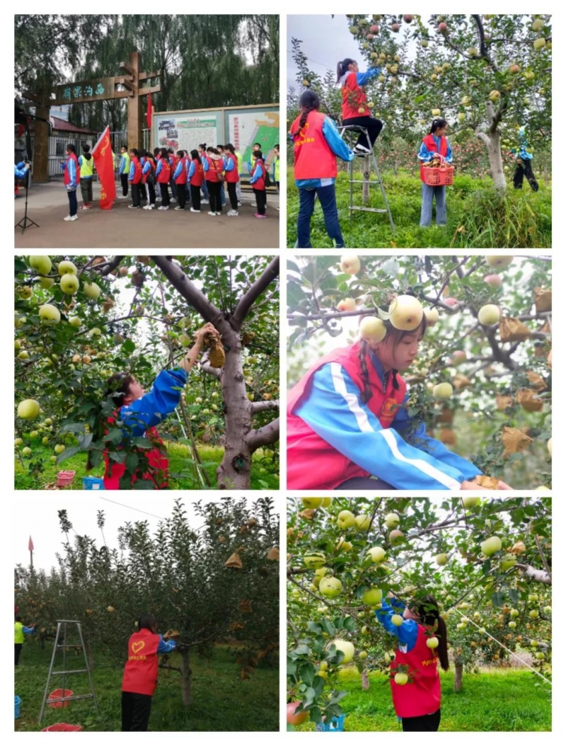 微信图片_20210928150105 微信图片_20210928150105